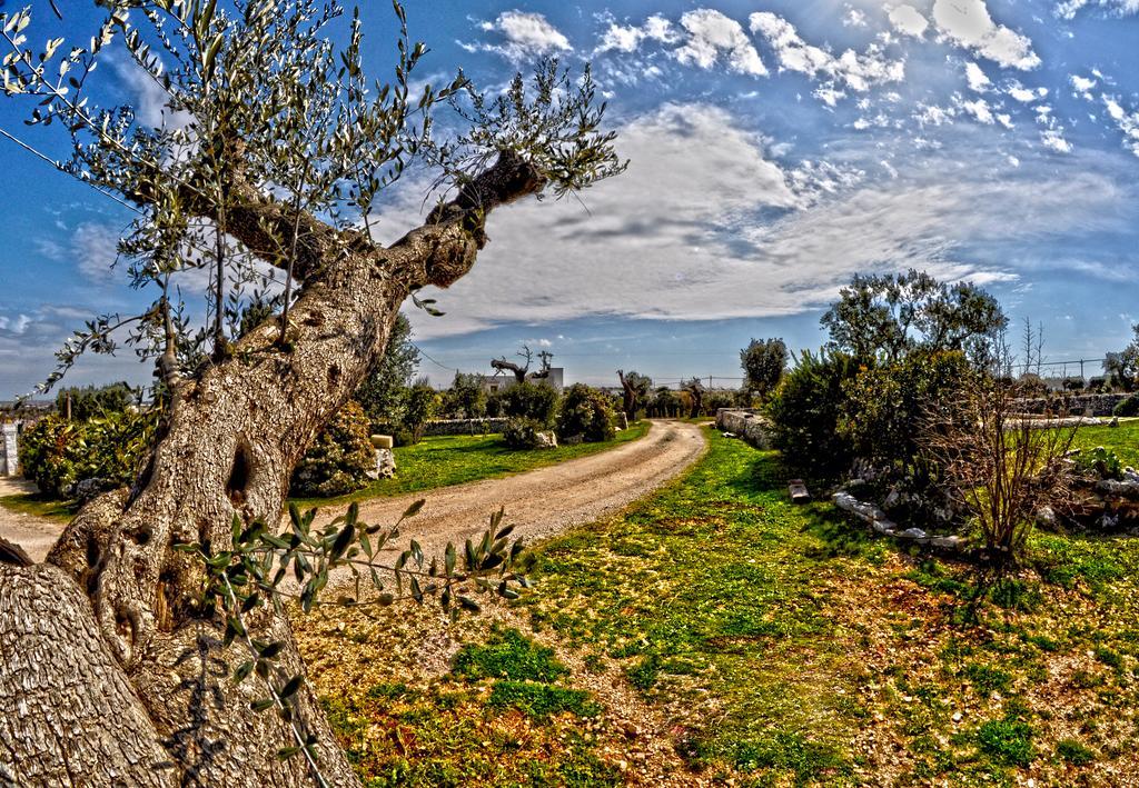 Masseria Rosa Trulli Relais Алберобело Екстериор снимка