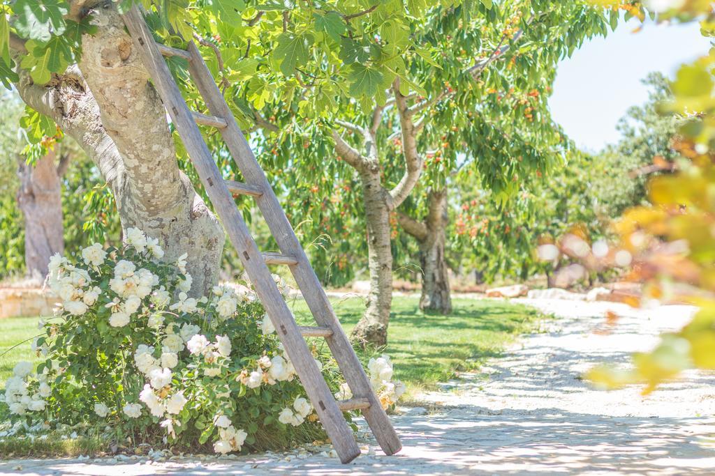 Masseria Rosa Trulli Relais Алберобело Екстериор снимка